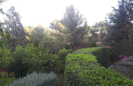 Casa de las Vistas - Photo 57