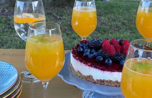 Gutshaus Kranichflug - Foto 20