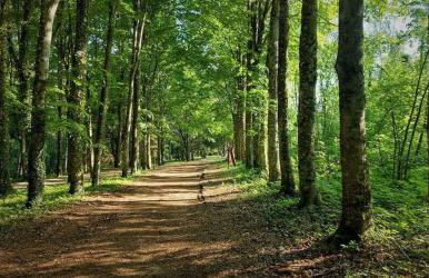 T2 cosy avec terrasse et jardin à Belley - Foto 28