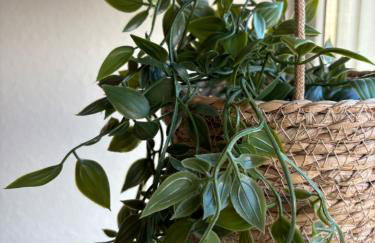 Modernes Apartment Dornberg - Foto 5