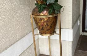 Lakeview House Naples - Foto 1