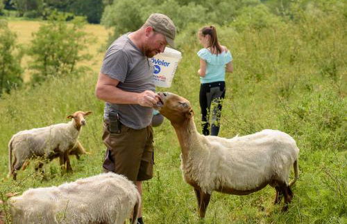 Nengshof Ferienhäuser Sonnenblume und Heublume - Foto 61