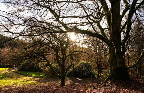 Garlies Lodge - Foto 23