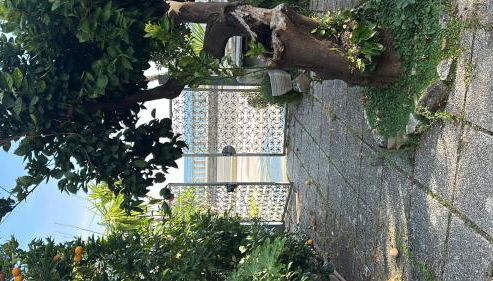 La casetta rosa - Foto 5