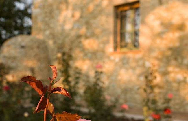 Villa Il Castagno Wine & Resort - Photo 136