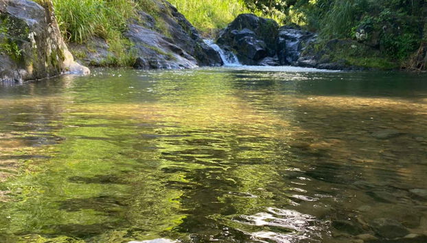 Excursión a Vermont Nature Trail - Foto 2