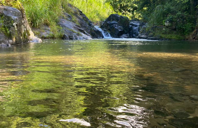 Excursión a Vermont Nature Trail - Foto 2