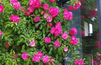 Superbe Maison en baie du Mont St Michel - Foto 28