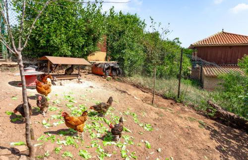 Casa Monterriundo I y Apartamento Monterriundo II - Foto 14