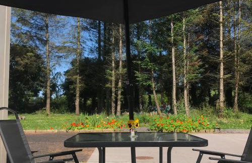 Pigeon Brae pet friendly accommodation Enniskillen - Foto 15