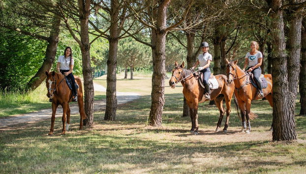 Albarella V3 5 - Foto 5, Sala de fitness