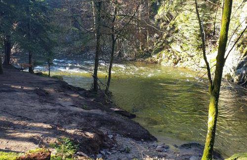 Maison vosgienne proche de la Bresse et Gerardmer - Foto 19