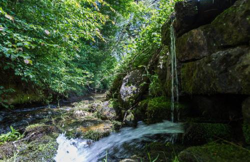 Forest Escape - Foto 30