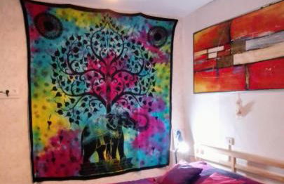 EL PEQUE DE TAMAIDE Tenerife Sur - Foto 2