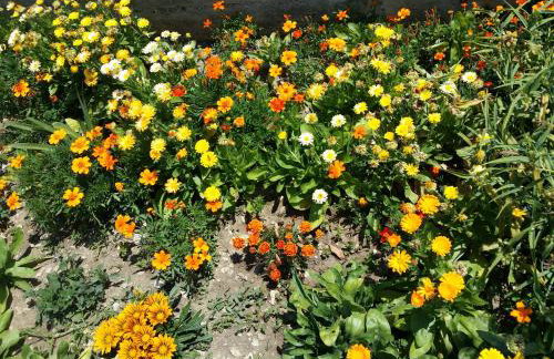 Marina Slano apartment - Foto 30