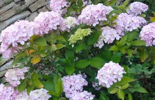 Rocca Fiorita - Casetta indipendente con giardino e parcheggio - Foto 31