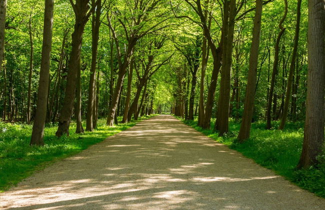 Bungalow Near Dutch Beach With Garden - Foto 33