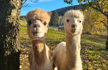 Auszeit zwischen Fellnasen - Foto 14