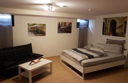 Ferienwohnung keine Monteurvermietung Nähe Heidelberg Hockenheim BDS Anlage - Foto 20