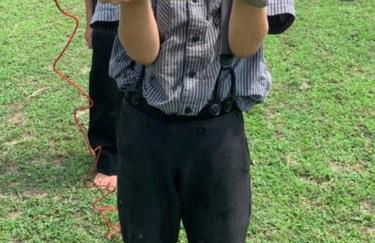 Amish Country Stay w/ Buggy Ride - Foto 35