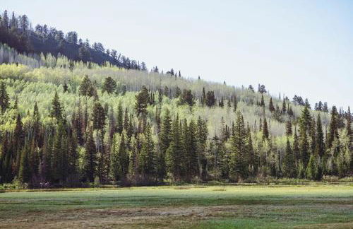 Brighton Ski Resort Hidden Falls 1 Bedroom Chalet Utah - Foto 42