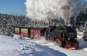 Ferienhaus Thale - Foto 53