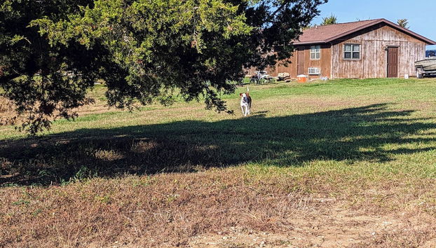 Cannon Dam Cabins - Foto 3, Habitación