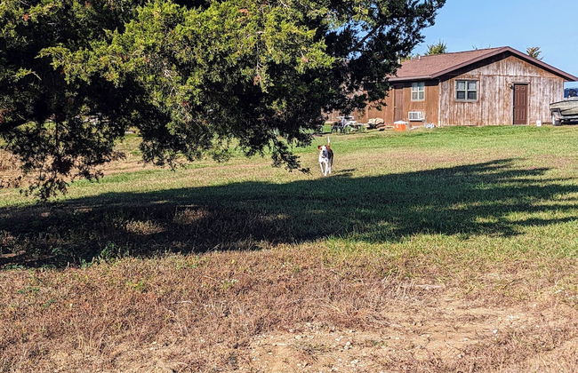 Cannon Dam Cabins - Foto 3