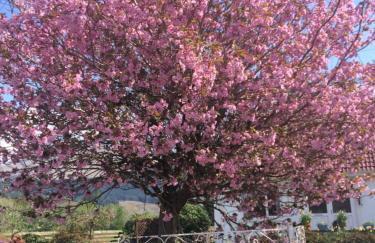 Bonawe House Holiday Cottages - Foto 28