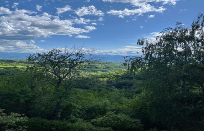 Hillview Langhe Apartment - Foto 29