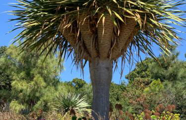 Appartement - Résidence Le Paradou - Foto 39