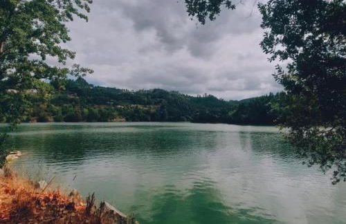 Forest Hideaway Near Douro Valley - Foto 55