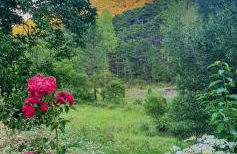 Cortijo de las cañadas - Foto 39