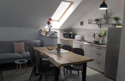 Studio apartman GRIZZLY - Foto 9