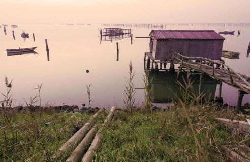 Beautiful Home In Taglio Di Po Ro - Foto 30