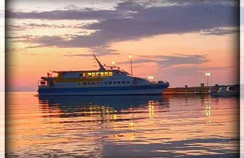 Rose house - Foto 24