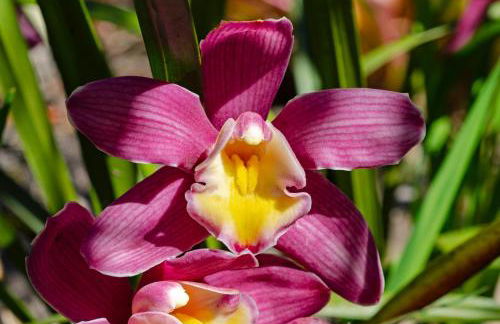 Chalé Flores e Amores - Photo 57