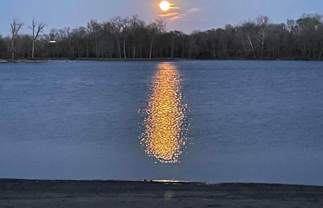 Beach House on Lake - Foto 30