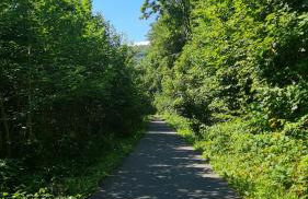 Chalet LE BAUSOY - Foto 13