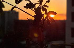 Aconchego com vista para o mar - Foto 68