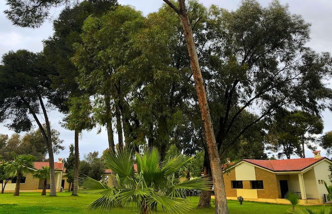 Diamant Vert - Photo 54