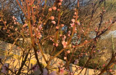 Magnifique vue sur la mer ... - Foto 61