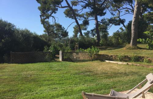 Lodge Montagnac - Foto 19