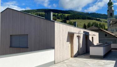 stella alpina - Foto 3