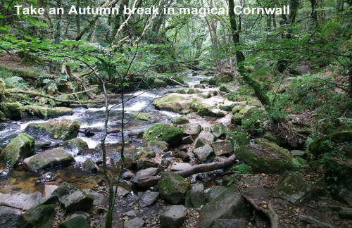 dog friendly nancecliff cottages - Foto 38