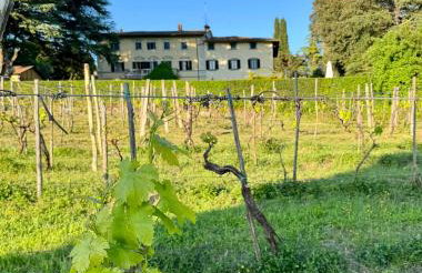 Agriresort & Spa Fattoria I Ricci - Foto 64