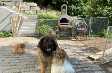 Ferienwohnung Aussicht, Monheimer Alb, Altmühltal - Foto 61