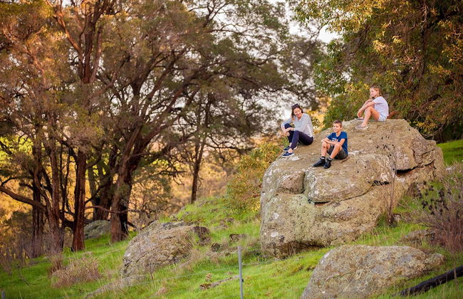 Evedon Park Bush Retreat - Foto 16