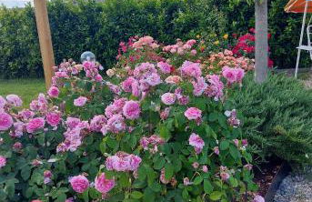 Villa Monica - Foto 38