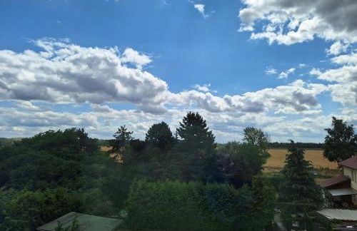 Gaststätte und Pension Zur Schiene - Foto 6